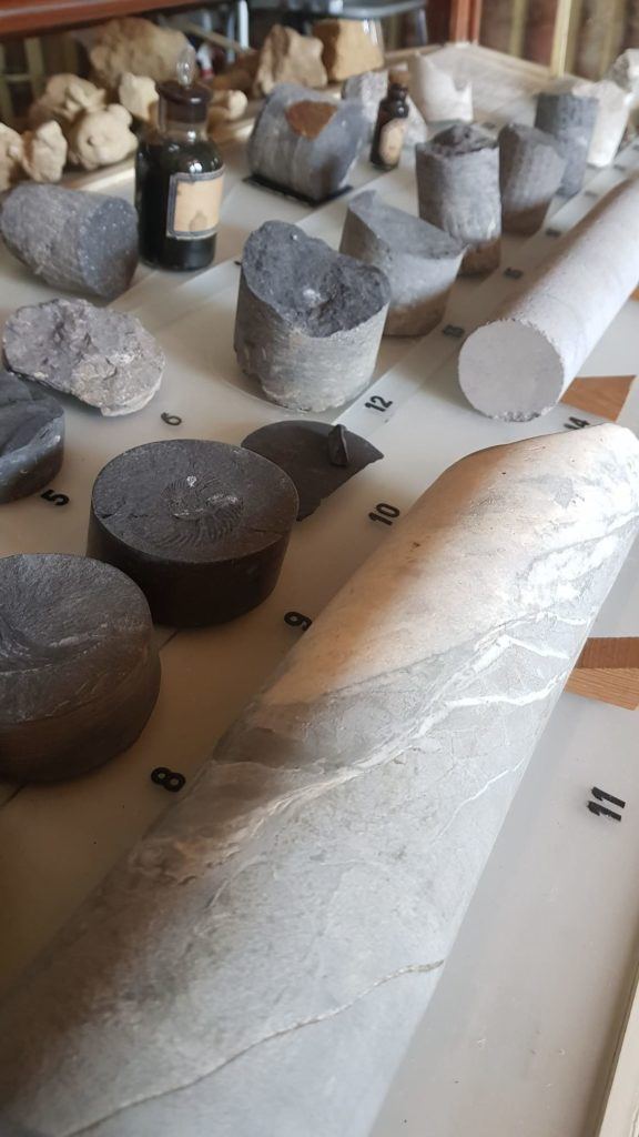 Nombreux échantillons de la collection minéralogique - Musée de la Mine et de la Potasse